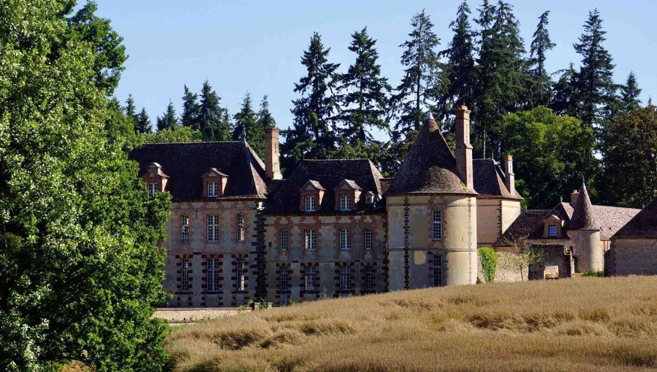 Chateau De La Riviere Pontgouin Exterior foto