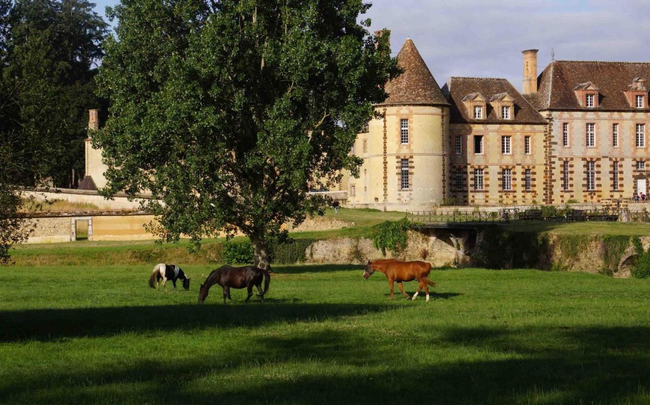 Chateau De La Riviere Pontgouin Exterior foto